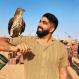 A bearded man smiles as he looks at a raptor perched on his raised arm